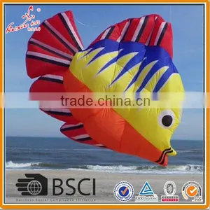 Fish Kite, Inflatble Kite, Large Show Kite From Weifang Kite Factory. Quality Choice thumbnail-4