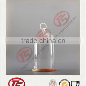 Glass Garden Decoration Cloche thumbnail-1