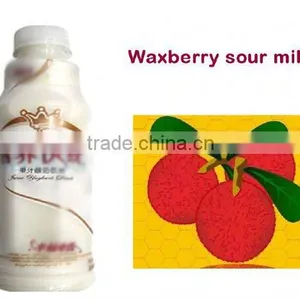 Hot Sale Formula Waxberry Sour Milk thumbnail-1