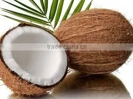 Dry Semi Husked Coconut thumbnail-2