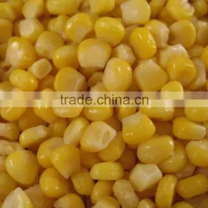 Canned Sweet Corn thumbnail-6