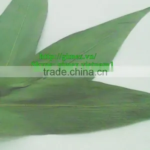 Dried Bamboo Leaves thumbnail-2