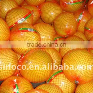 Fresh Sweet Pomelos (8/9/10/11/12) thumbnail-1