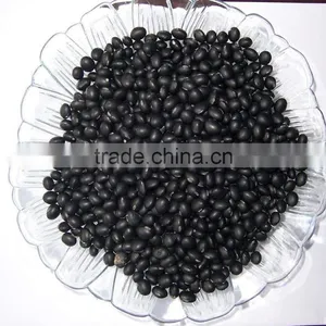 Small Black Bean Chinese Origin thumbnail-1