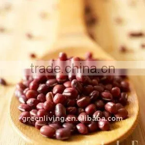 New Crop Dark Red Beans thumbnail-1