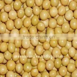 Supply Chinese Soybean (2011 Super Quality ) thumbnail-1