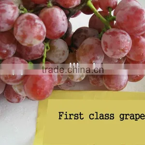 First Grade Red Grapes thumbnail-1