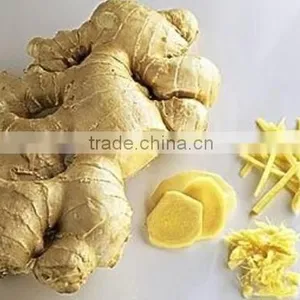2016 Chinese Fresh Ginger for Hot Selling thumbnail-2