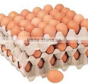 Automatic Egg Grader/egg Grading Machine/egg Grading Packing Machine thumbnail-6