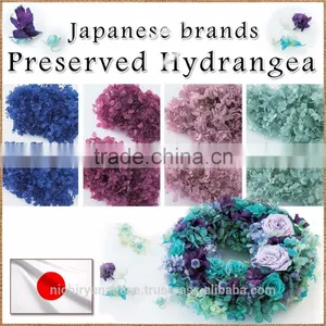 Pretty Hydrangea Preserved Flowers With Various Species thumbnail-1