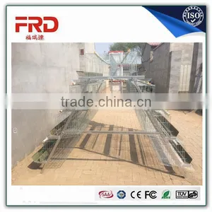 FRD Chicken Poultry Farm Layer Cage (Manufacturer ISO9001-2000)/Model Poultry Cage thumbnail-4