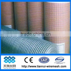 Bird Cage Galvanized Welded Wire Mesh thumbnail-1