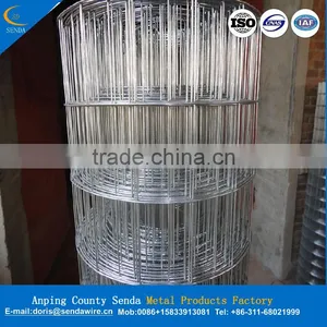 5x5 Welded Wire Mesh thumbnail-3
