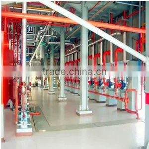 Automatic Healthy Walnut Oil Press Machine Proplar Around USA and Europe thumbnail-1