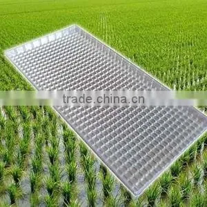 New Product Supreme Quality Competitive Price Black Seedling Tray thumbnail-2