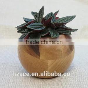 Sphere Succulent Air Plant Planter Wood thumbnail-2