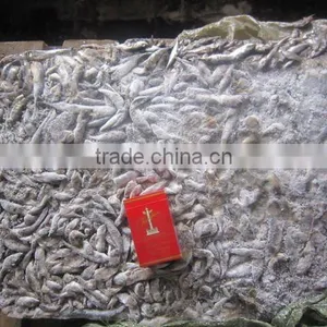 Fish Bait(mackerel Small Size) thumbnail-1