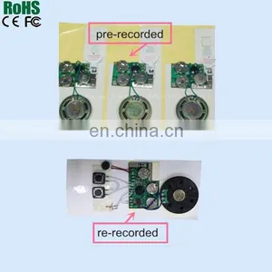 2 Pieces AAA Battery USB Sound Recordable Module thumbnail-6