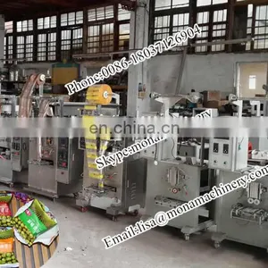 Semi - Automatic Food Nuts Dry Fruits / Walnut Packing Machine thumbnail-3