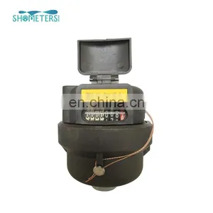 20mm Magnetic Volumetric Liquid Sealed Rotary Piston Water Meter Manufacturer thumbnail-2