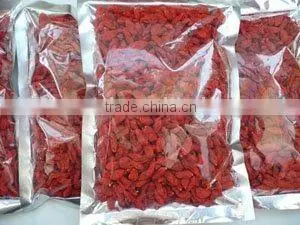 Goji Berry thumbnail-1