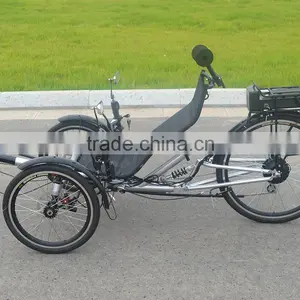 Electric Recumbent Trike Built for One thumbnail-2