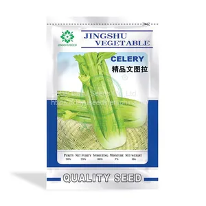 Boutique Ventura Celery Seeds Celery Seeds Suppliers Cheap Celery Seeds Chinese Celery Seeds For Sale thumbnail-1