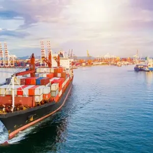 Zeebrugge Sea Freight Shipping Services From China/Fob/DDP/DDU to Zeebrugge thumbnail-4