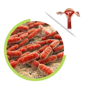 Factory Wholesale Active Lactobacillus Crispatus Probiotics Powder For Female Reproductive Health thumbnail-1