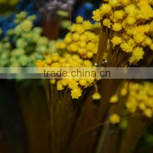 Star Flower Bouquet thumbnail-4