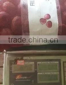 2015 Crop Chinese Fresh Chestnut Best Quality for Export thumbnail-2