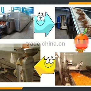 Leader New Design Sea Buckthorn Fruit Machine for Removing the Branches thumbnail-5