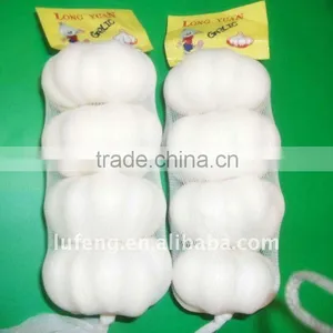 Chinese White Frozen Garlic thumbnail-1