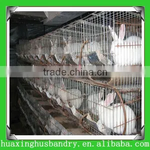 High Quality Commercial Rabbit Cages(professional Manufacturer,best Price and Good Quality) thumbnail-1