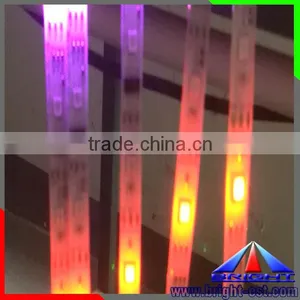 Led Program Strip Light, 5050 Led Digital Strip With CE ROHS thumbnail-2