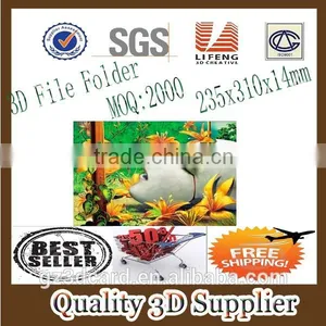 Guangzhou Lifeng 3D PET/PP File Folder thumbnail-1