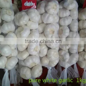 5.0CM Pure White Garlic thumbnail-2