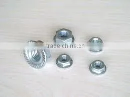 Din 6923 Hex Flange Nuts thumbnail-1
