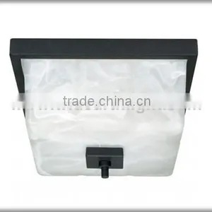 UL CUL Listed Hotel Ceiling Lamp C50397 thumbnail-1