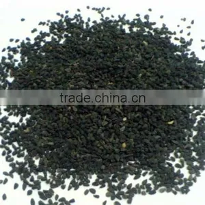 Black Cumin thumbnail-4