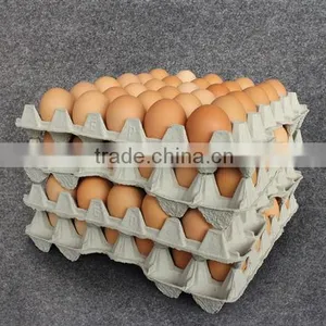 Paper Pulp High Quality Egg Cartons and Trays thumbnail-3