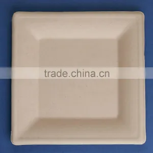 T028-UB Unbleached 10 Inches Disposable Flate Square Sugar Cane Paper Plate thumbnail-3