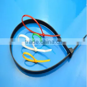 New Arrival Full Size 100 Pcs/Bag Nylon 66 Self Locking Kabelbinder thumbnail-3