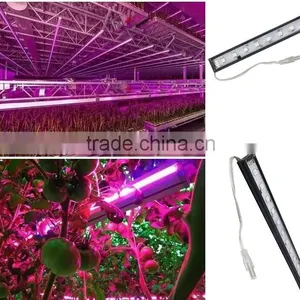 XQD Shenzhen Solar Power 3gp King 12W Led Grow Light thumbnail-4