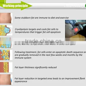 Hot Sale Freezing Fat Slimming Machine Medical thumbnail-5