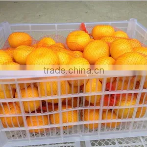 Companies Imported Fruit Orange Fruit Price thumbnail-3