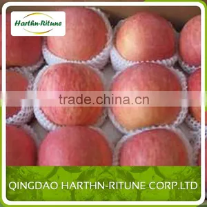 Fresh Red Fuji Apple of Apple Fruit thumbnail-1