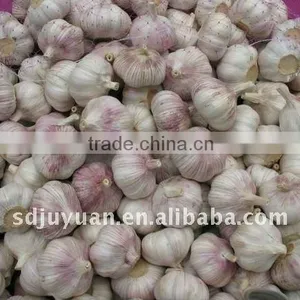 Chinese Fresh Garlic thumbnail-1