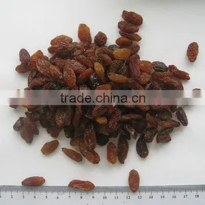 Top Quality Raisin(sun Dried) From Xinjiang thumbnail-4