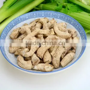 Hot Sales Dried White Mushroom Stem,mushroom Leg thumbnail-1